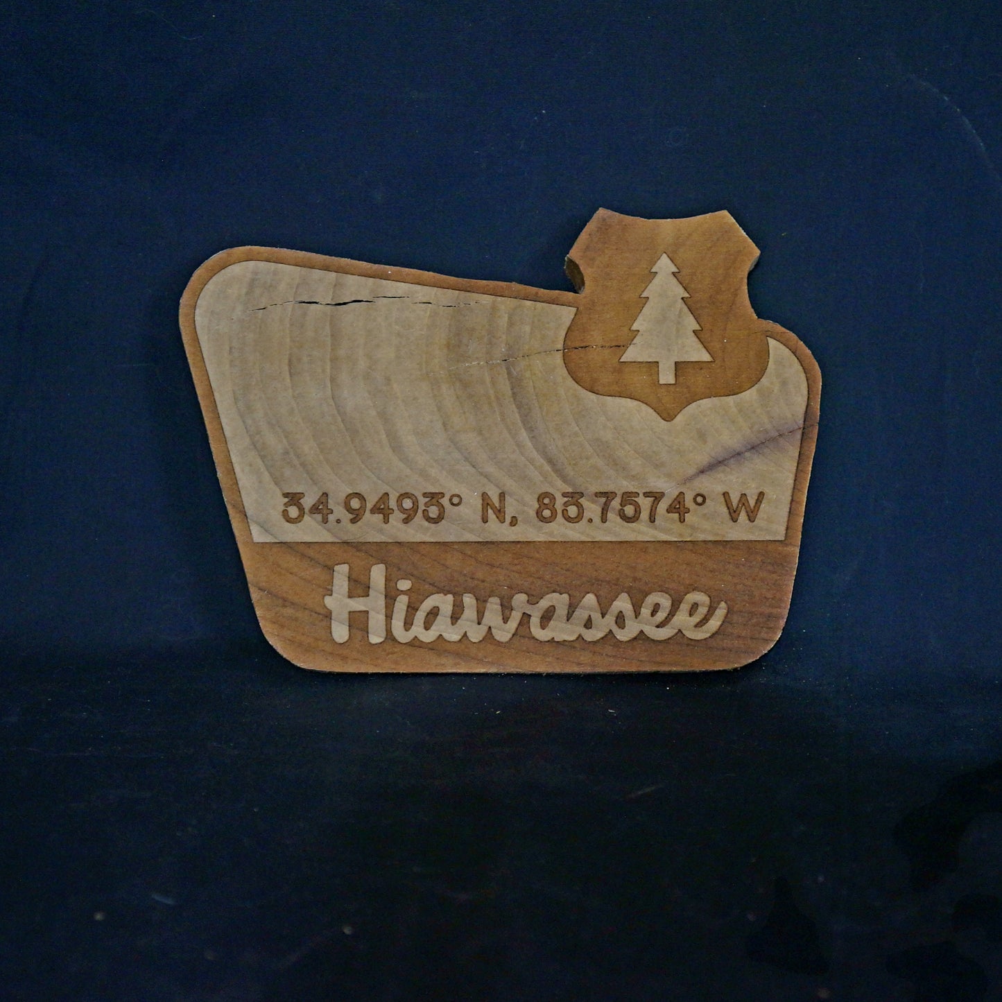 Hiawassee Coordinates Forest Sign